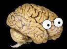 human-brain eyes