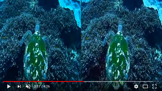 8c54df08-a7b7-4137-9b38-5ed6c2cccedf